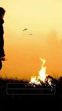 [Audio] The Aliens Are Real: 6 Documented Abductions & The Message For Humanity