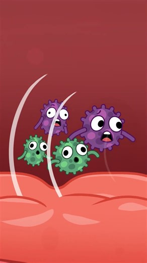 Teeth Chase Fun Cartoon