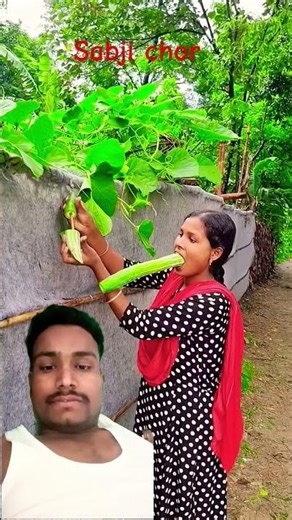 amazing facts #facts