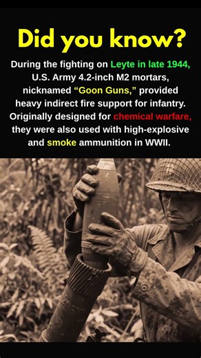Why they called it the 'Goon Gun' #ww2 #battleofleyte #history