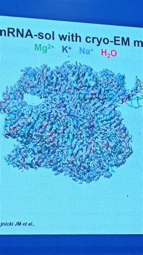 cryo-EM Ukraine BioGENext #biotech #drugdesign #cryoem #electronmicroscopy #mregorin #biogenext