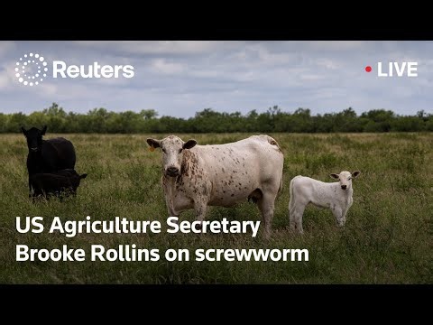 LIVE: USDA’s Rollins briefs on New World screwworm threat