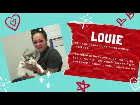 PetSmart Charities Video