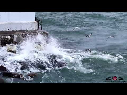 Stunning Slow Motion Flight With The Birds Hunting In The High Surf For Fish 4K Drone Footage