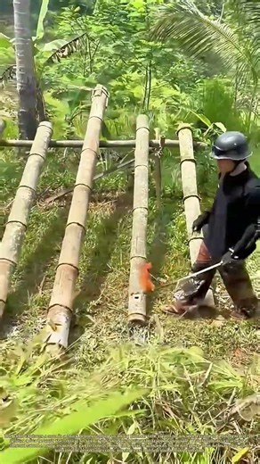 Bamboo Firepower: How a Farmer Builds a Sonic Cannon to Scare Birds