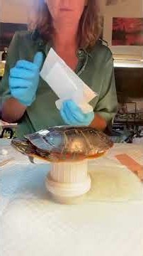 Caring for a critically injured turtle. 🐢💚 . #turtlerescue #savetheturtles #wildliferescue