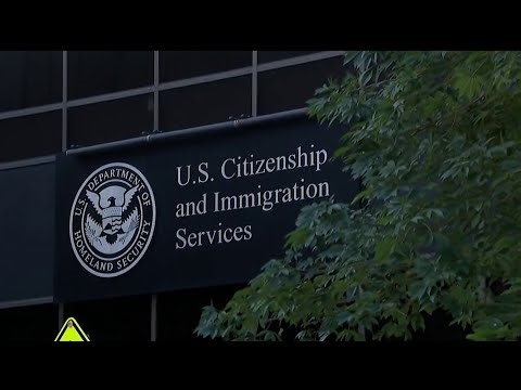 DACA renewal delays leaving recipients in limbo | NBC 7 San Diego