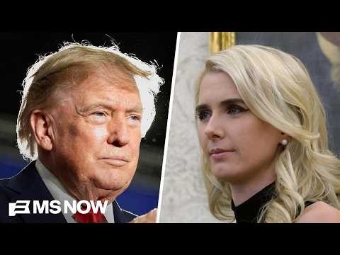 Some WH officials find Harp’s closeness with Trump ‘problematic’ and ‘disturbing’: Peter Baker
