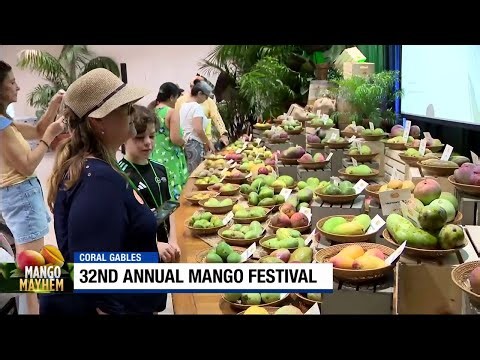 Mango Festival brings peak season celebration to Coral Gables