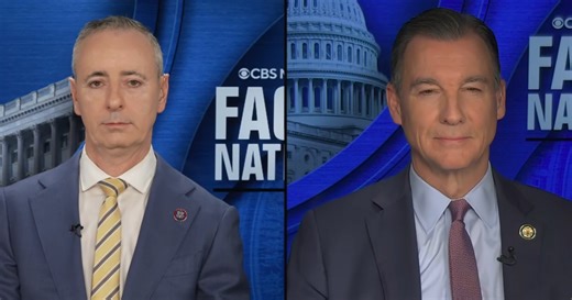Fitzpatrick on gerrymandering