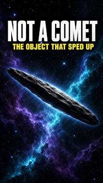 Was 'Oumuamua an Alien Spacecraft?