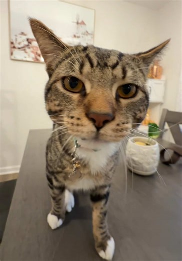 Ariel Solano's First Day of Class Experience