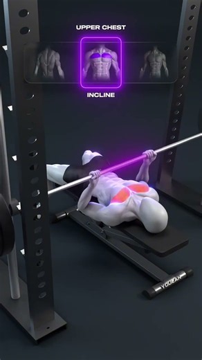 BARBELL BENCH PRESS VARIATIONS