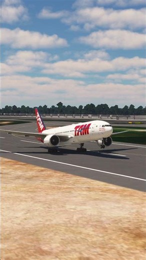 the pilot's actions endangered the plane's passengers EP476