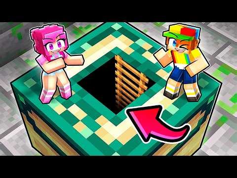 Minecraft But We Can Inside Any Block...