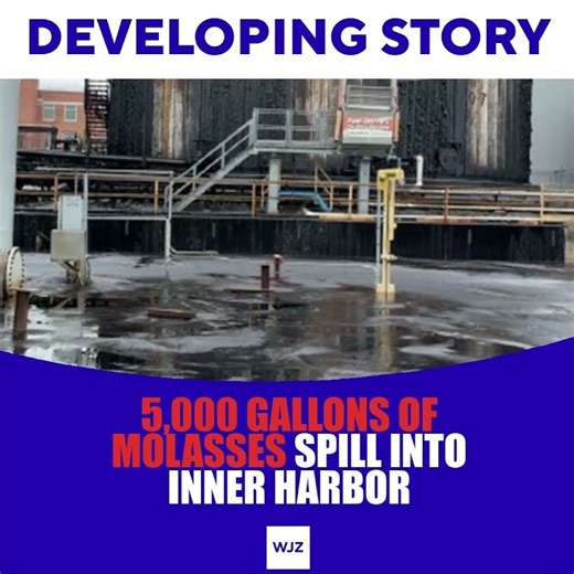 5,000 gallons of molasses spill into Baltimore's Inner Harbor after tank overflow