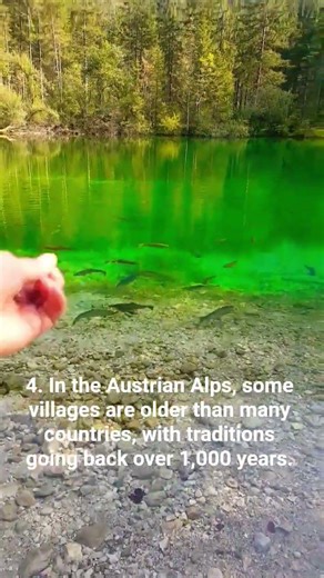 Did you know this about Austria? 🇦🇹 #travel #salzburg #nature #alps #mountains #visitaustria