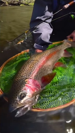 🎣🪓 Catching Big Rainbow Trout in River Stream Using Spinning Rod#short