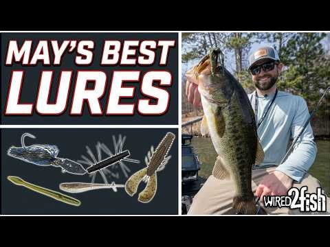 Our Best Bass Fishing Lures for May
