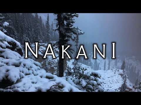 True Encounters with the Wildman of the North