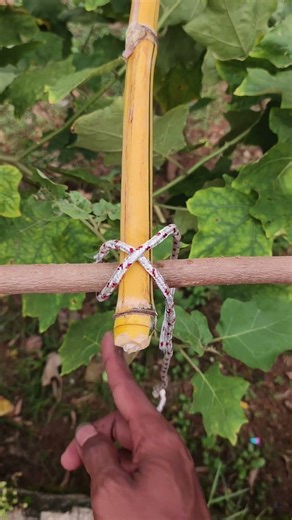 A Super Strong and Widely Used Knot