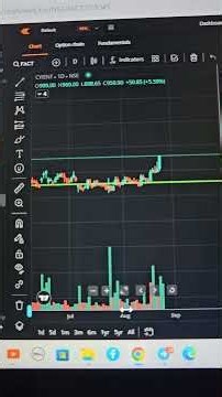 Mid-term stocks for mindful investors