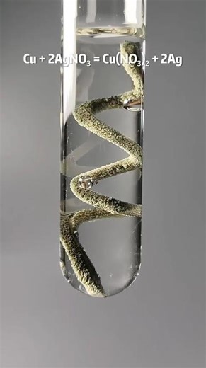 Displacement reaction between copper and silver nitrate .....🥶