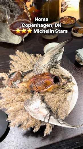 Eating a Whole Duck at the World’s Best Restaurant: 3 Michelin Star Noma in Copenhagen Denmark