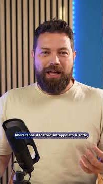 Ma cosa STA RACCOGLIENDO?