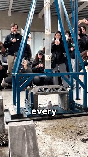 This Engineering Challenge Is Insane
