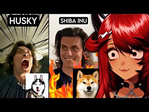 Dogs VS Robbers (Jauncydev Reaction)