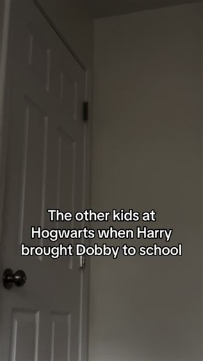 Harry Potter Skit: When Harry Brings Dobby to Hogwarts