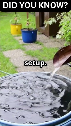 🌧️💧 Rainwater Harvesting Made Simple Beginner Friendly