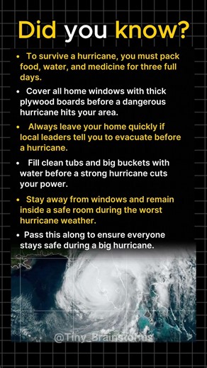 Survival Tips for Every Hurricane