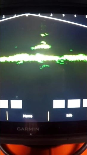 Ice Fishing Chain Pickerel New Brunswick Canada Short 11 #icefishing #fish #fishing #fishingvideo