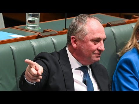 ‘It needs to be gone’: Barnaby Joyce calls out the ‘damage’ climate change policies are having
