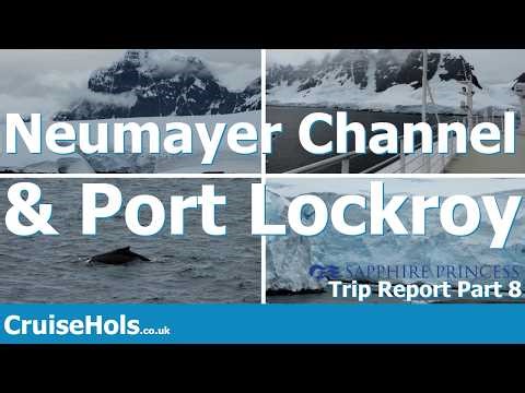 Port Lockroy Explained: Antarctica’s Most Famous Landing Site