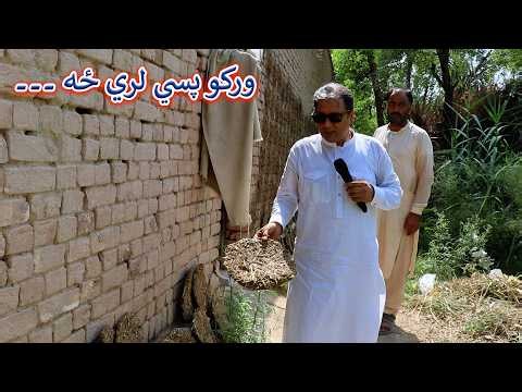 Aam Olas: Ep # (2170) | ورکو پسي لري ځه ۔۔۔