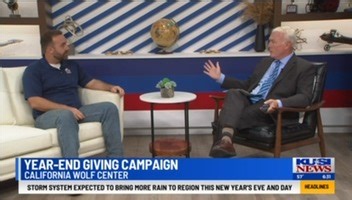 California Wolf Center on Instagram: "Our Director of Education and Engagement, Jacob Keeton, appeared on KUSI News this morning to talk about the final days of our critical annual giving campaign and how the California Wolf Center is working with communities to create a sustainable future where wolves and people thrive together. There is still time to make an impact. See link in bio to make a year-end gift and help us reach our $50K goal!"