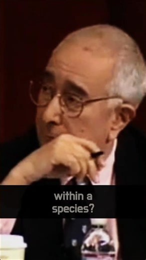 Christopher Hitchens vs. Ben Stein 💰