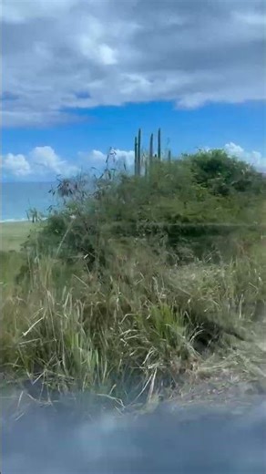 St Kitt Gorgeous Ocean Views Most Relaxing Ocean Views in the Caribbean | Celebrity Apex Cruise