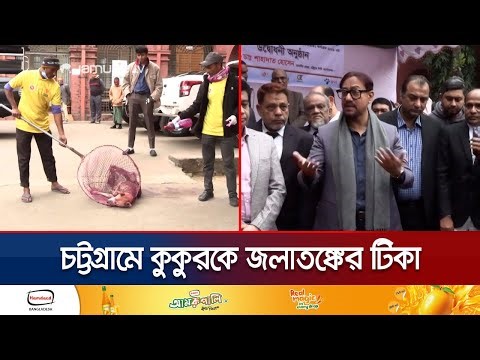 চট্টগ্রামে নিধন না করে ১৫ হাজার কুকুরকে দেয়া হচ্ছে জলাতঙ্কের টিকা | Rabies Vaccine | Jamuna TV