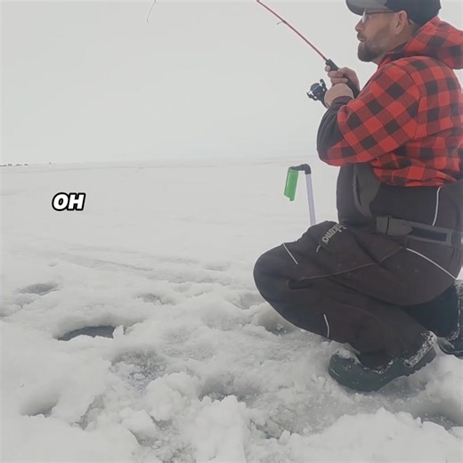 Catching Huge Aggressive Pike with New Favorite Lure