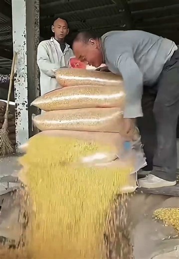 Exploring Amazing Factories and ASMR Sounds