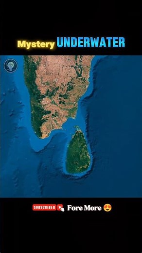The Bridge Between India & Sri Lanka?! 😳🌍 | #shorts