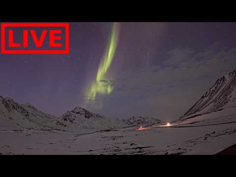 🌎 LIVE Greenland Auroras Northern Lights | Relaxing Music