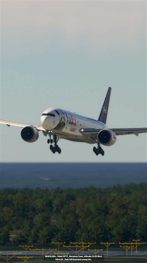 the pilot's actions endangered the plane's passengers EP445