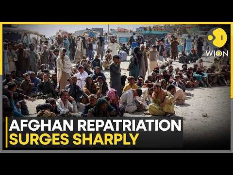 Over 2.1 Million Afghans Returned Since 2013: UNHCR Report | WION