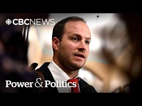 Liberal Nathaniel Erskine-Smith loses Ontario nomination bid, considers challenge | Power & Politics