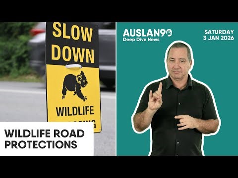 Auslan90 | Deep Dive | Wildlife Road Protections